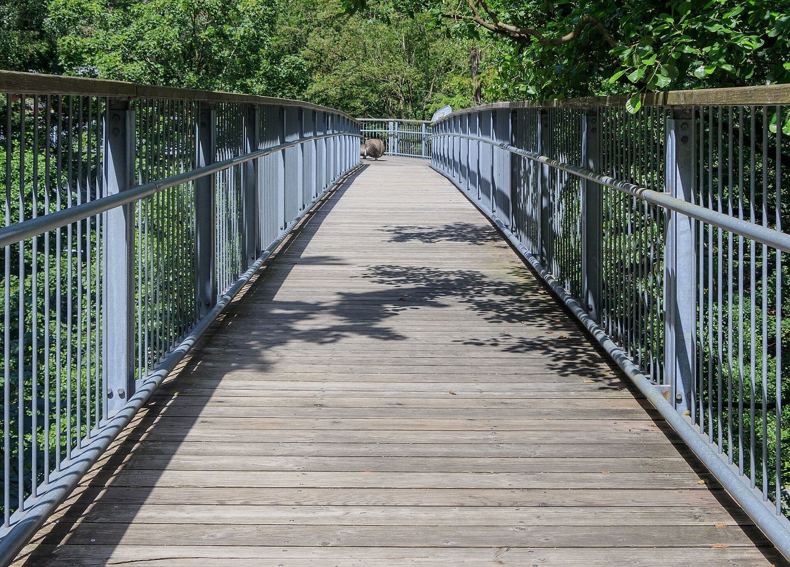 Wipfelsteg Bad Harzburg